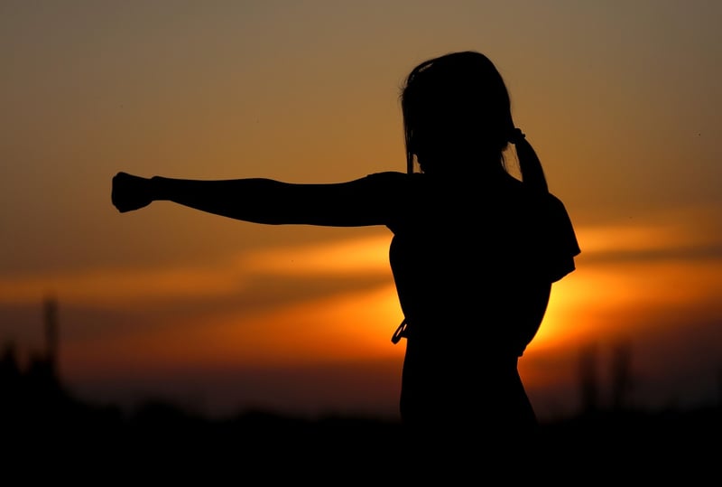 Wu Style Tai Chi Image